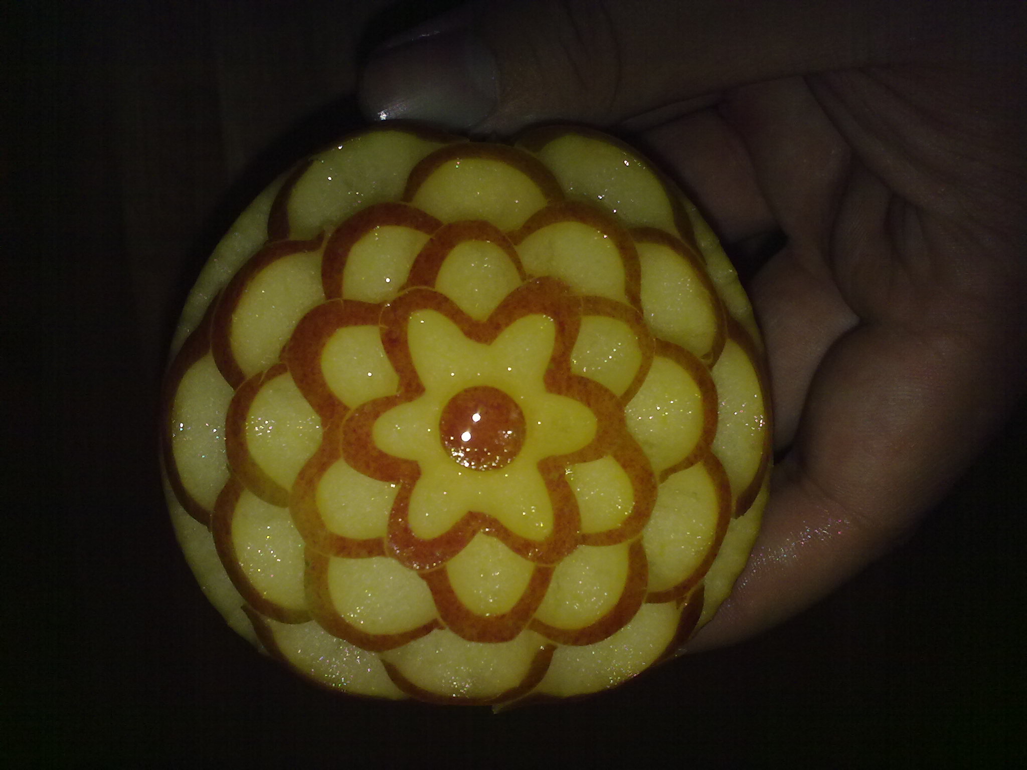 06102010083